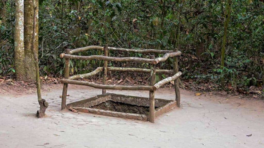 Wooden viewing platform in a lush forest setting for nature observation.