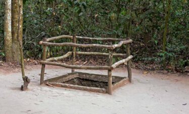 Wooden viewing platform in a lush forest setting for nature observation.