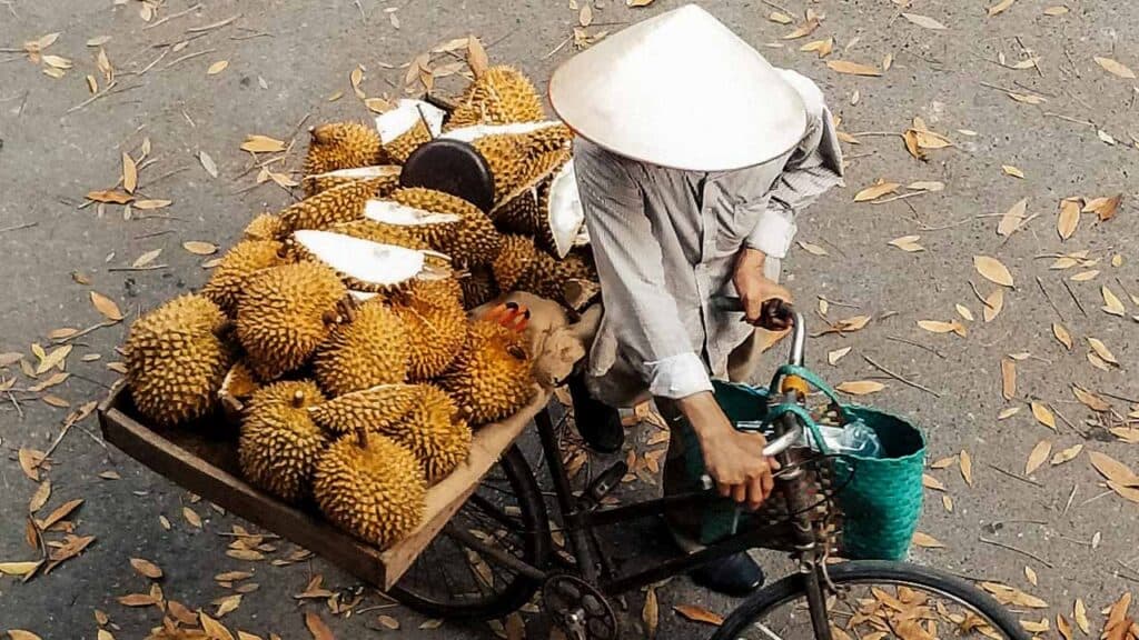 Durian seller riding a bicycle with a large basket of durians.
