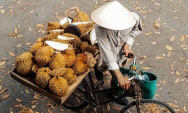 Durian seller riding a bicycle with a large basket of durians.