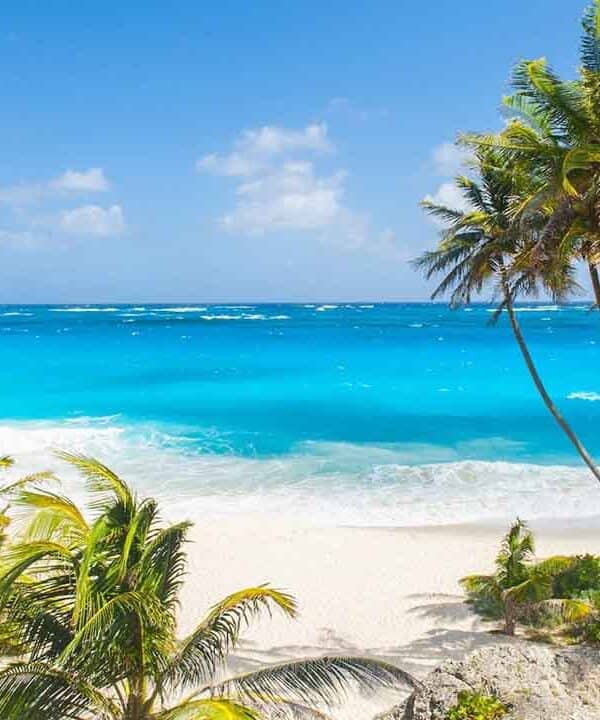 Beautiful tropical beach with clear blue waters and swaying palm trees.