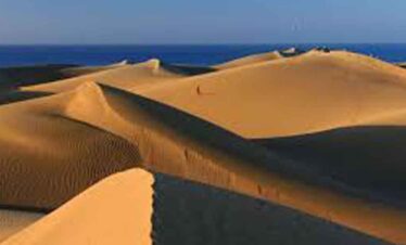 Sand dunes in a desert with smooth, golden curves and a distant horizon.