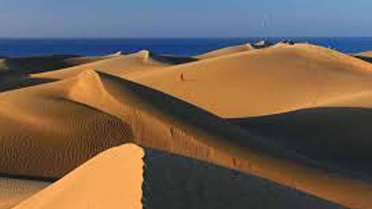Sand dunes in a desert with smooth, golden curves and a distant horizon.