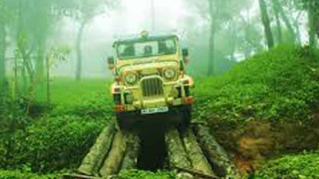 Jeep driving through a vibrant green forest with misty atmosphere.