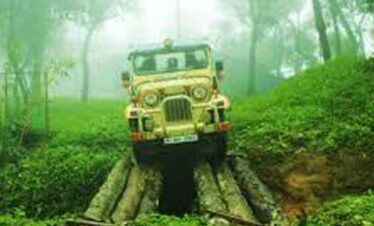 Jeep driving through a vibrant green forest with misty atmosphere.