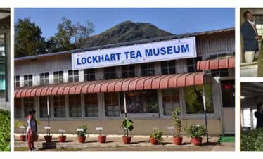 Visit to Lockhart Tea Museum with scenic surroundings and group activities.
