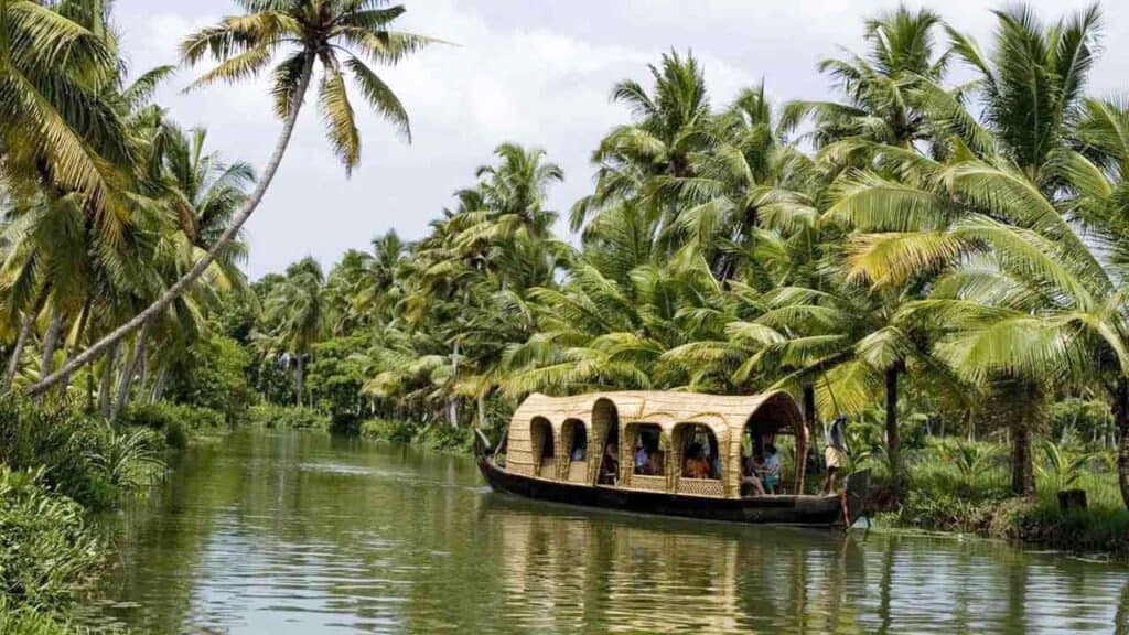 Scenic river cruise through lush tropical palm trees and greenery.