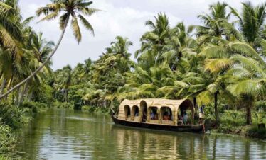 Scenic river cruise through lush tropical palm trees and greenery.
