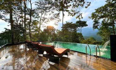 Infinity pool with lounge chairs in lush jungle setting at sunset.