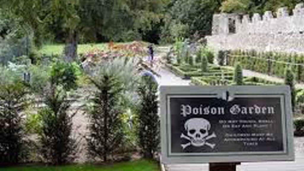 Poison garden at Blarney Castle.