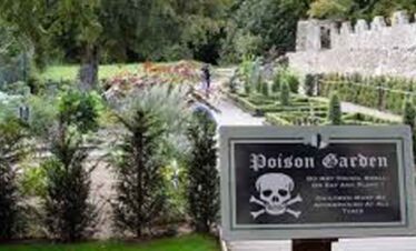 Poison garden at Blarney Castle.