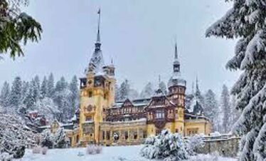 Castle in a snowy forest with tall trees and winter scenery.