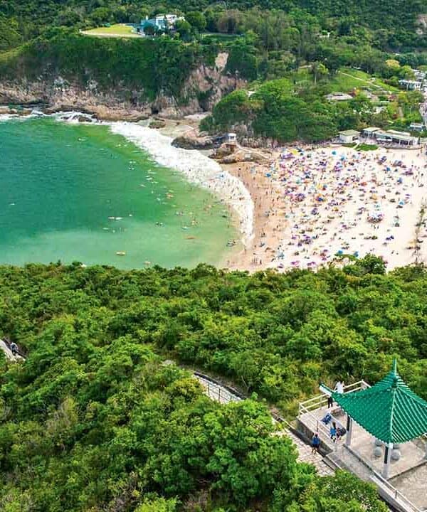 Scenic view of a beach with turquoise waters and a lush green forest at Travel Buddies Holidays.