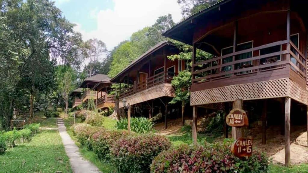 Charming treehouses nestled among lush greenery in a tranquil forest setting.