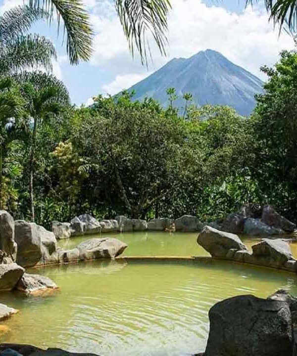 Lush tropical garden with hot spring and volcano in the background.