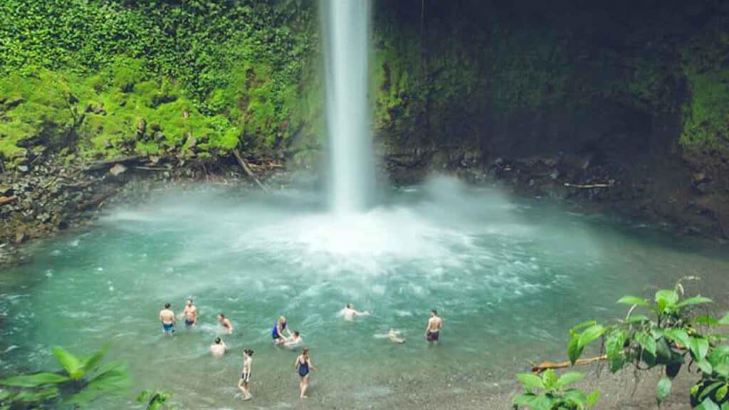 People swimming in a jungle waterfall pool surrounded by greenery.