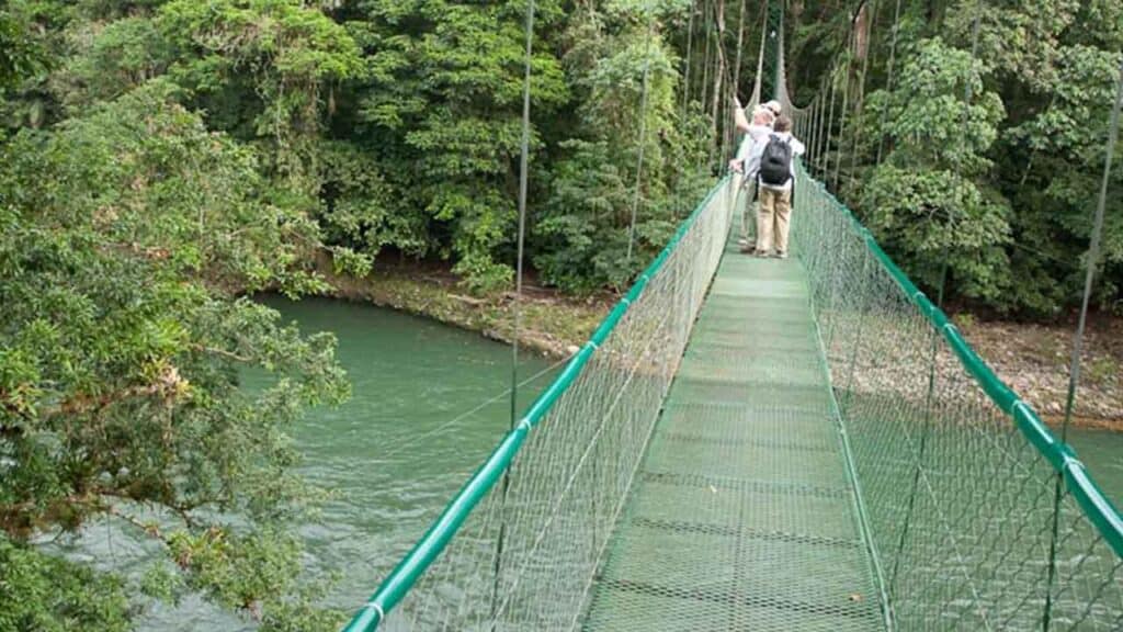 Suspension bridge over a river in lush forest.