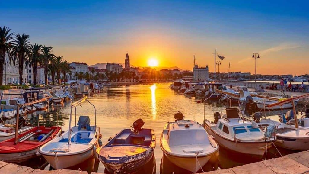 Harbour at sunset with boats, palm trees, and calm waters.