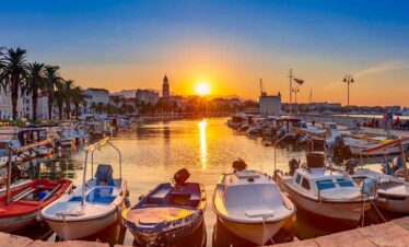 Harbour at sunset with boats, palm trees, and calm waters.