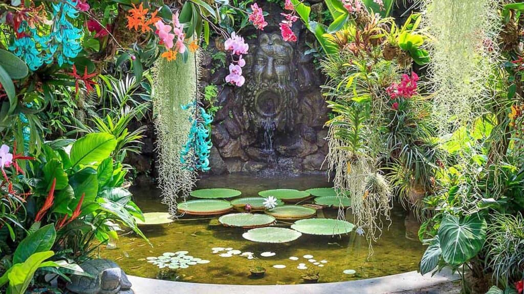 Vibrant tropical garden showcasing a water pond with lily pads and lush, colourful foliage surroundi.