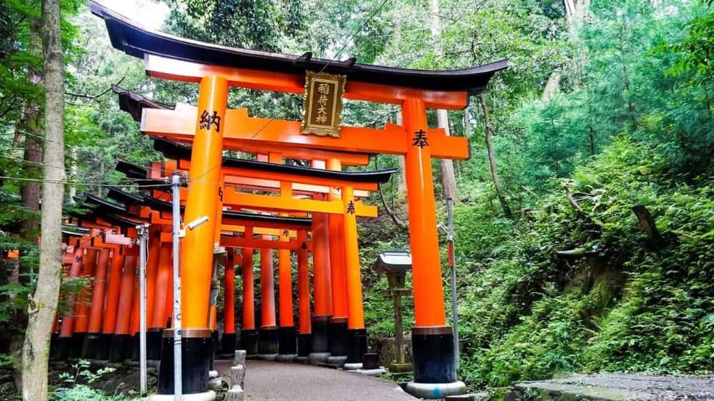 Torii gates leading through a lush green forest in Japan, symbolising the entrance to a sacred Shint.