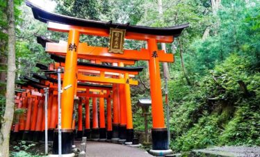 Torii gates leading through a lush green forest in Japan, symbolising the entrance to a sacred Shint.