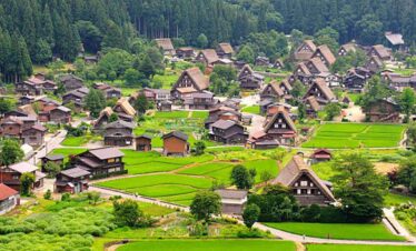 Style houses in Shirakawa-go with lush green rice fields and forest backdrop.