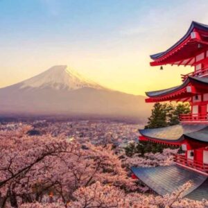 13 Days in Japan. The Land of The Rising Sun in Cherry Blossom Season