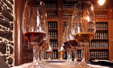 Wine tasting in a warm cellar with glasses of red and white wine.