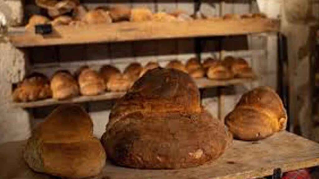 Fresh baked bread loaves on display at a bakery.