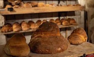 Fresh baked bread loaves on display at a bakery.