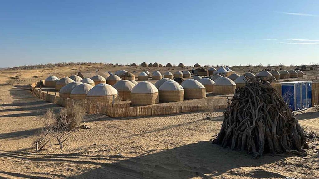 Desert camp domes with a large tree in a sandy landscape under a clear sky.