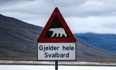 Warning sign with bear symbol in Svalbard, Norway.