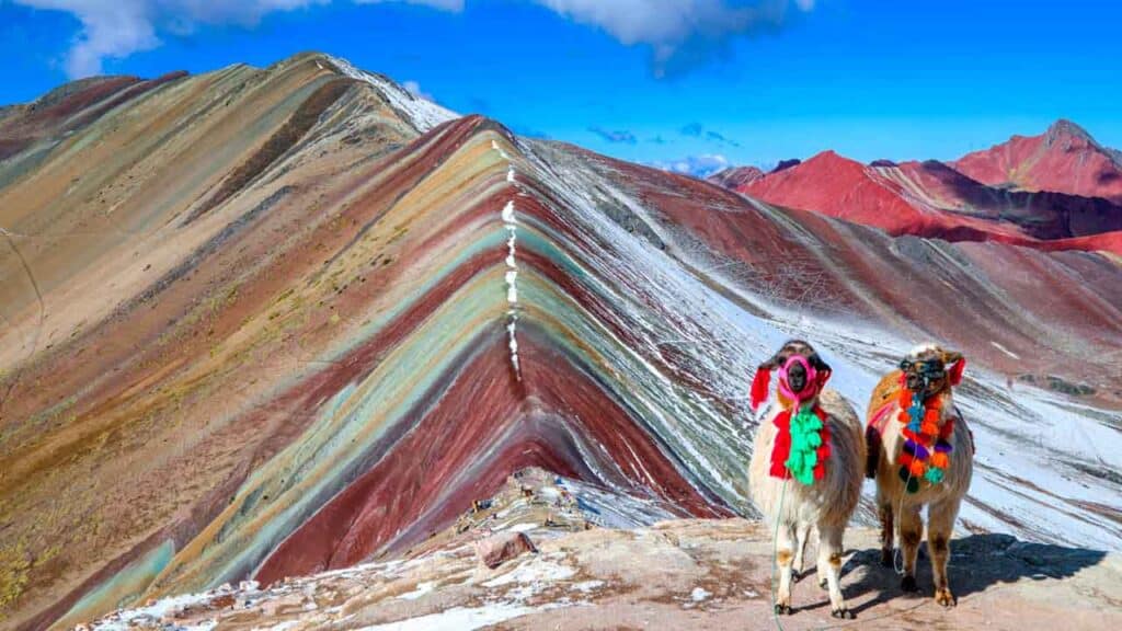 Two llamas with colourful blankets at Rainbow Mountain, Peru.