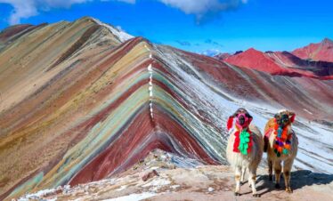 Two llamas with colourful blankets at Rainbow Mountain, Peru.