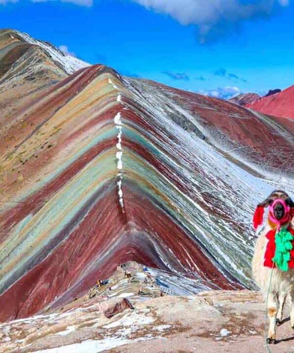 Two llamas with colourful blankets at Rainbow Mountain, Peru.