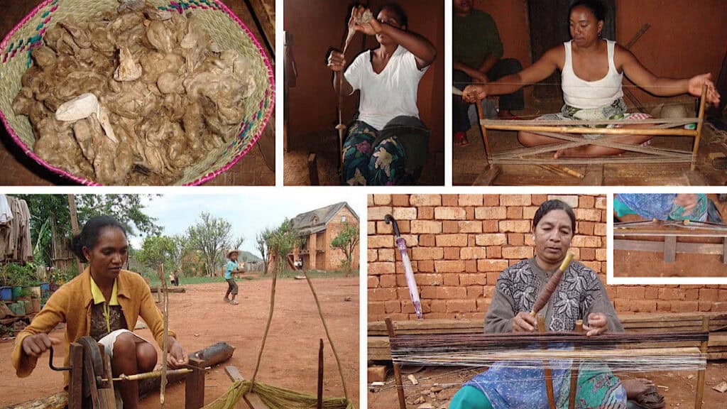 Madagascar Life Tour