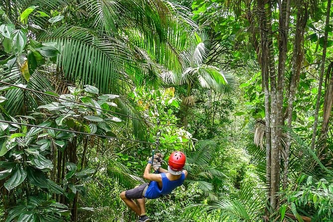 Ecuador Cloud Forest Ziplining Solo Travellers