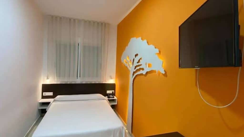 La Tomatina Hotel Group Tour