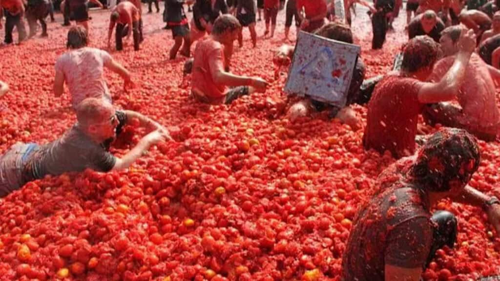 La Tomatina Tomato Festival