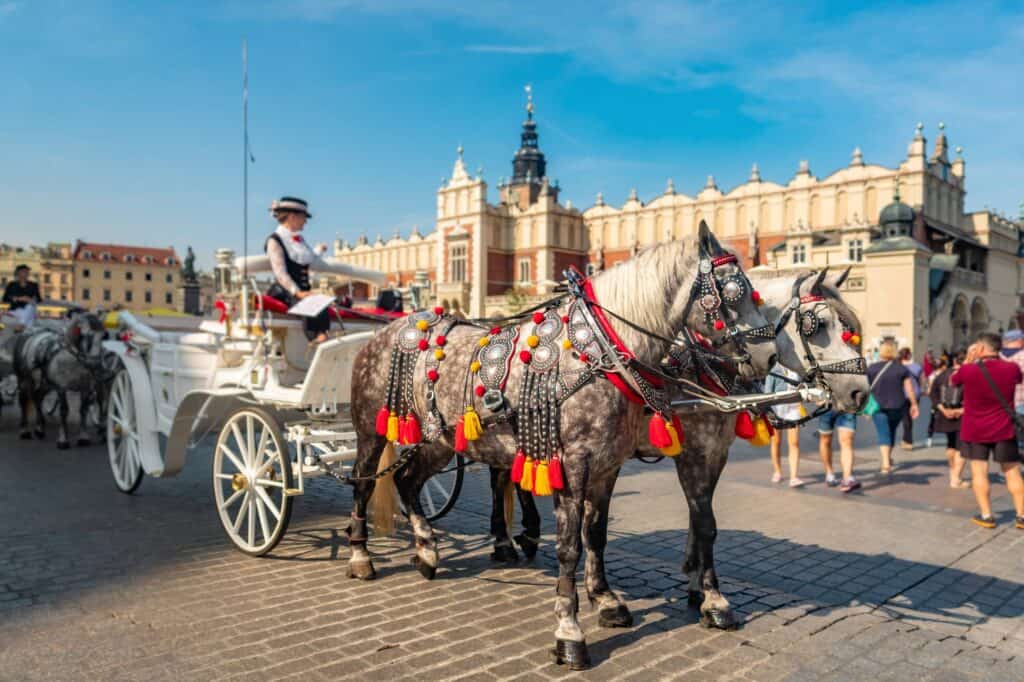 Krakow marketsquare horses group travel