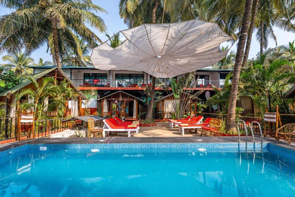 Trip Search 19 kerela goapool solotravellers grouptravel