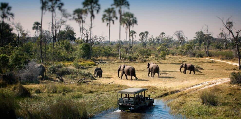 Botswana Coverpic