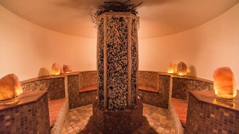 Trip Search 103 Poznan therme maltinesky steamroom