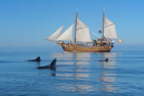 Trip Search 3 Tenerife pirateboat tour operator
